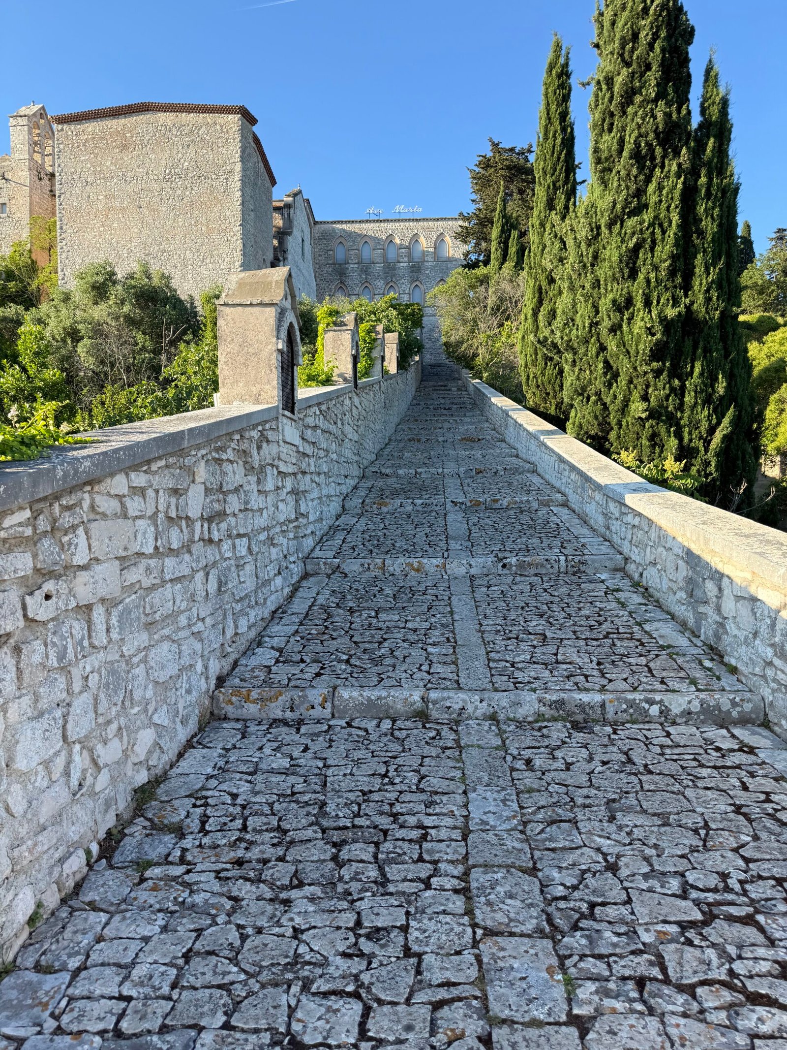 IMG_1603