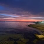 d8e0145b-73ab-4a00-a70e-fe149e01d5ca